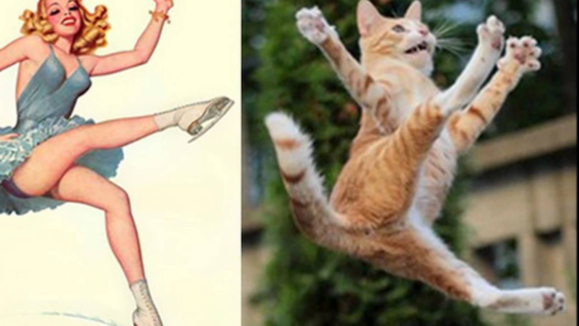ネコだってやってみたい！モデルの真似をするネコたち