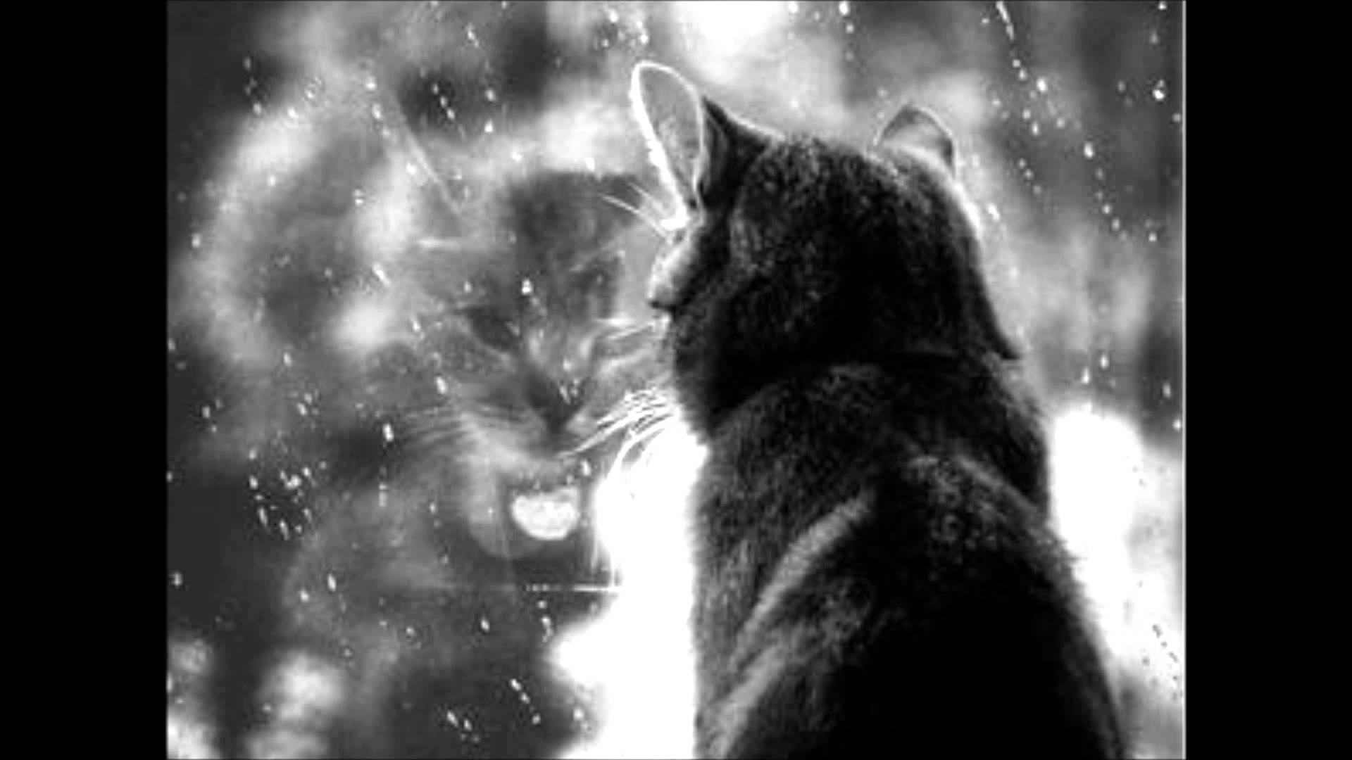ちょっとお洒落なデザイン『猫画像特集』part6
